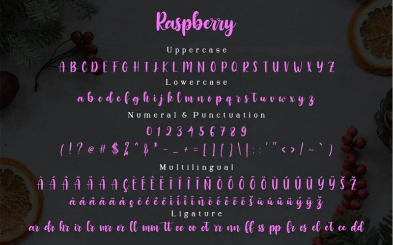 Raspberry Font