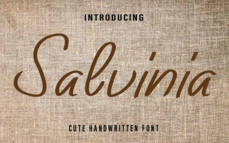 Salvinia Font