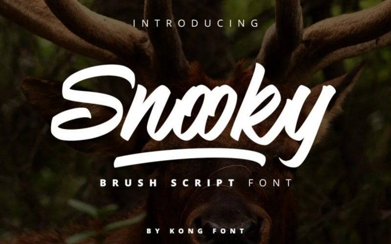 Snooky Font