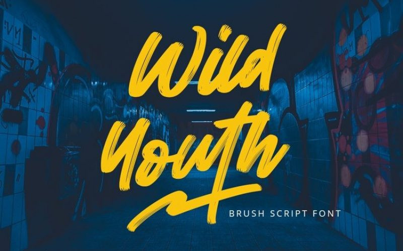 Wild Youth Font