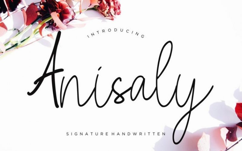 Anisaly Font