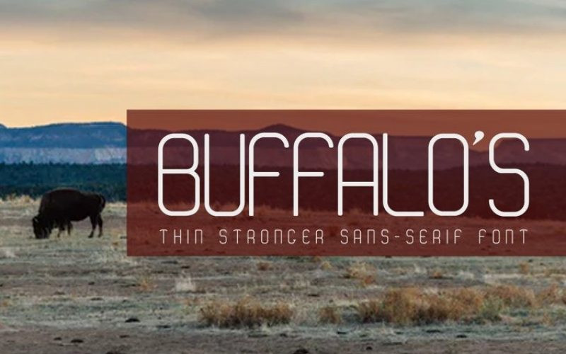 BUFFALO’S Font