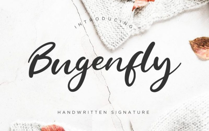 Bugenfly Font