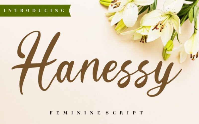 Hanessy Font