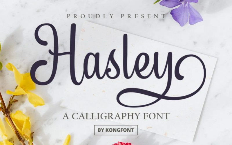 Hasley Font