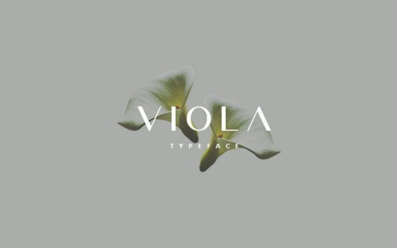 Viola Font