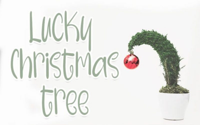 Welcome Christmas Font