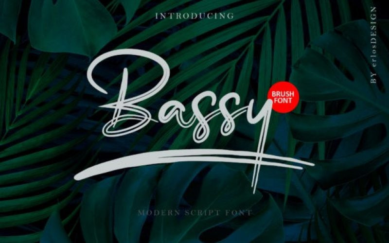 Bassy Font
