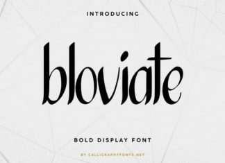 Bloviate Font