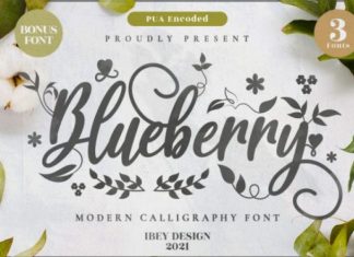 Blueberry Love Font