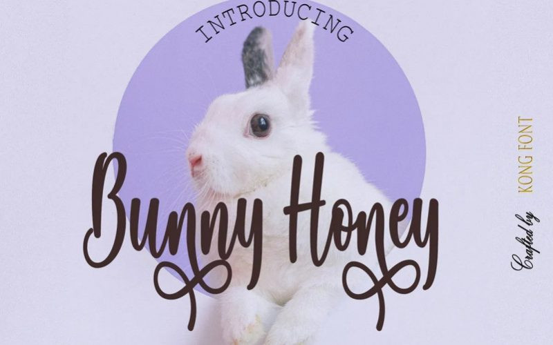 Bunny Honey Font