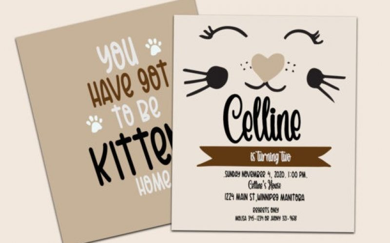 Pretty Meow Font