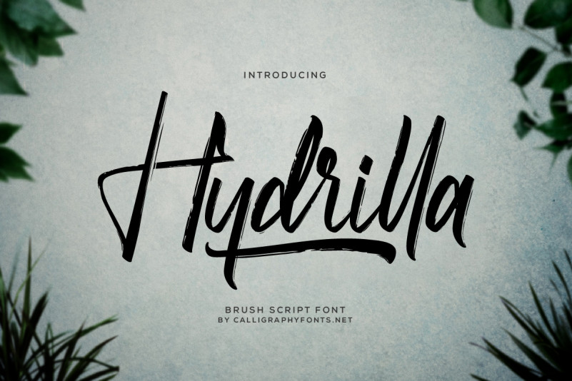 Hydrilla Font