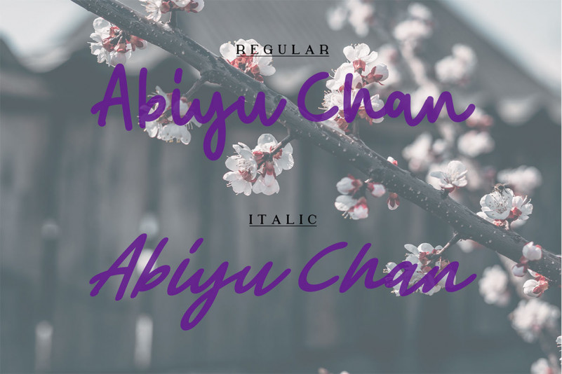 Abiyu Chan Font