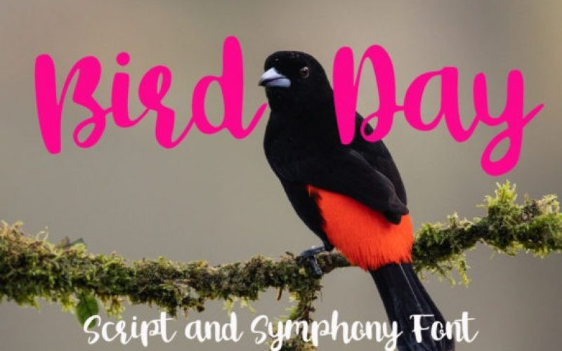 Bird Day Font