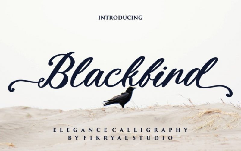 Blackbird Font