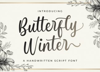 Butterfly Winter Font