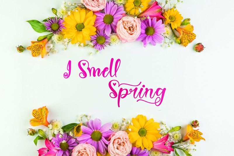 Spring Heart Font