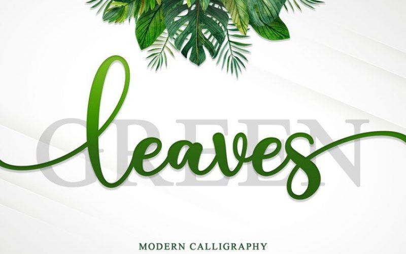 Green Leaves Font