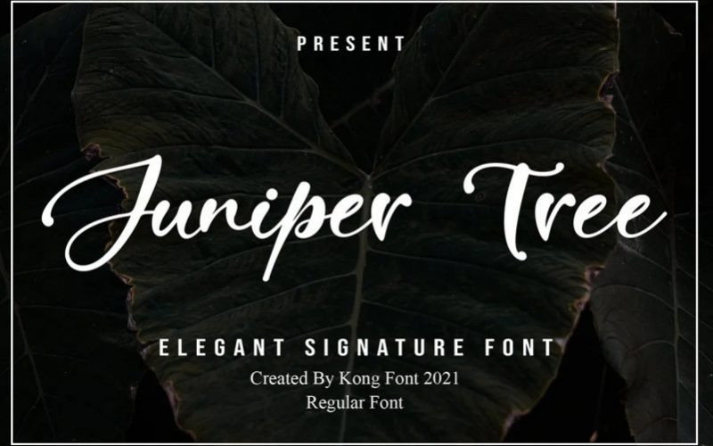 Juniper Tree Font