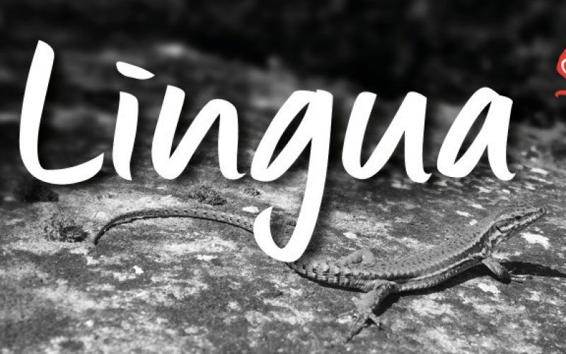 Lingua Font