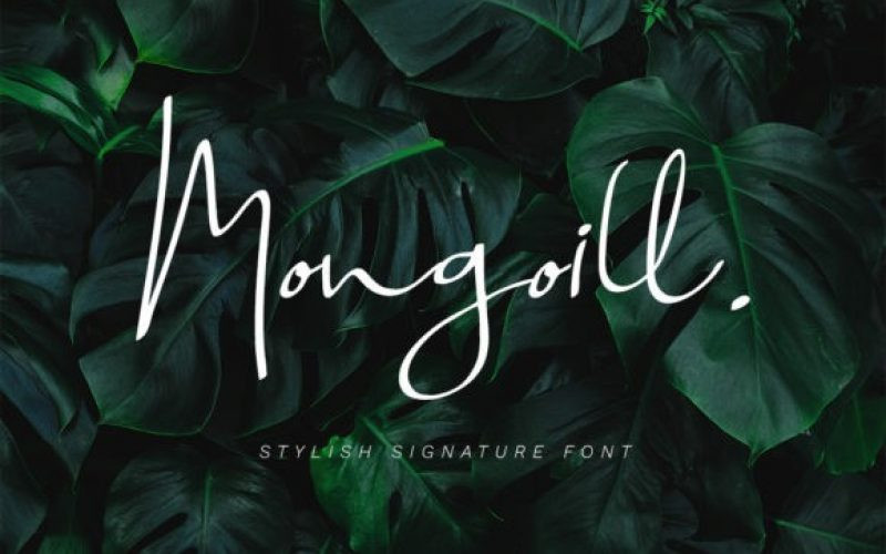 Mongoill Font