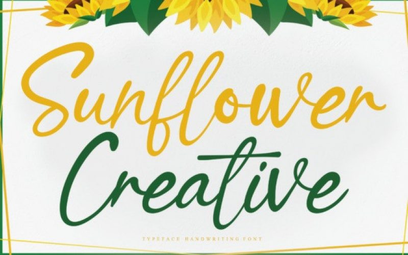 Sunflower Creative Font