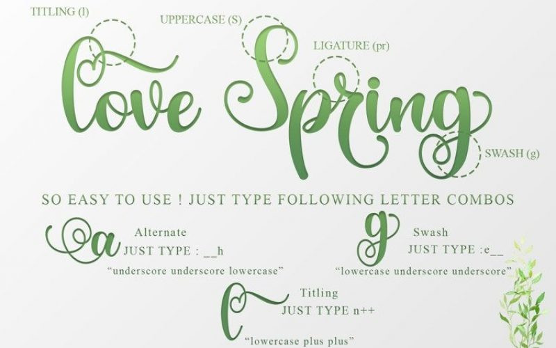 The Spring Font