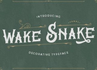 Wake Snake Font