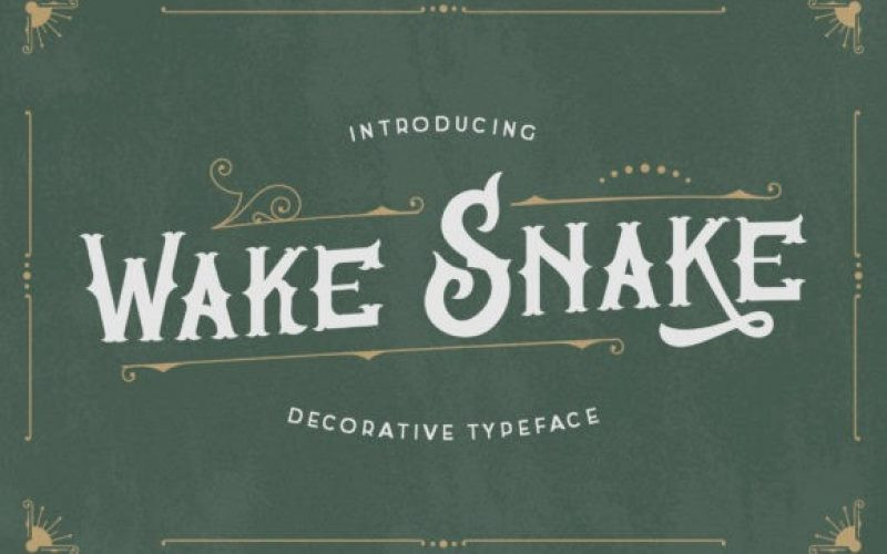 Wake Snake Font