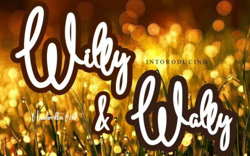 Willy & Wally Font