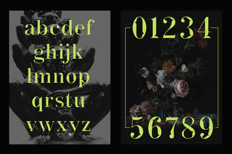 Actu Serif Font