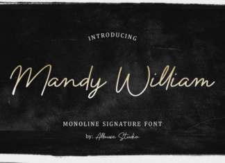 Mandy William Handwritten Font
