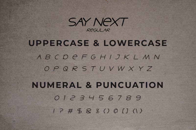 Say Next Sans Serif Font