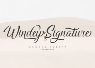 Windey Signature Script Font