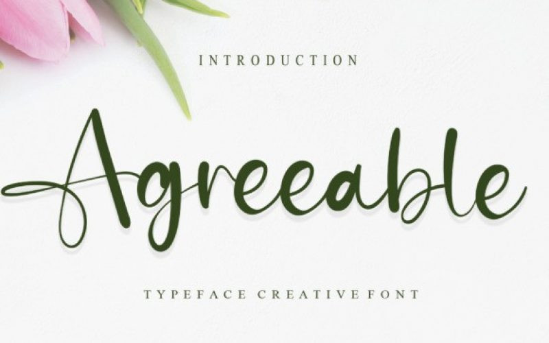 Agreeable Font