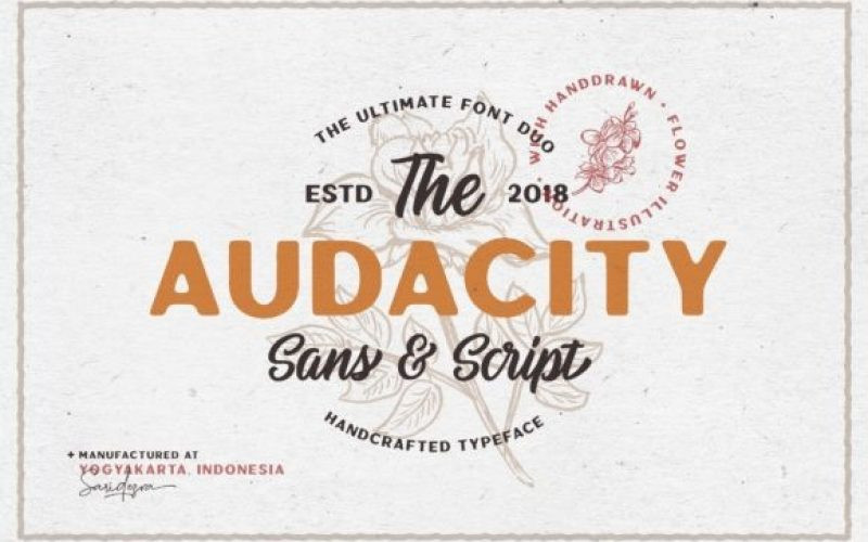 Audacity Script Font