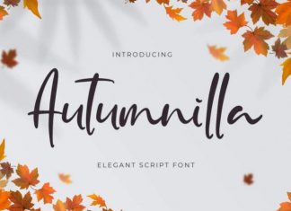 Autumnilla Script Font