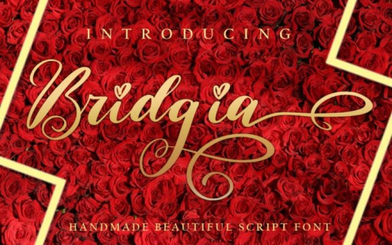 Bridgia Script Font