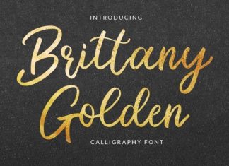 Brittany Golden Calligraphy Font