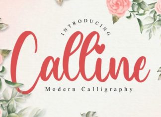 Calline Calligraphy Font