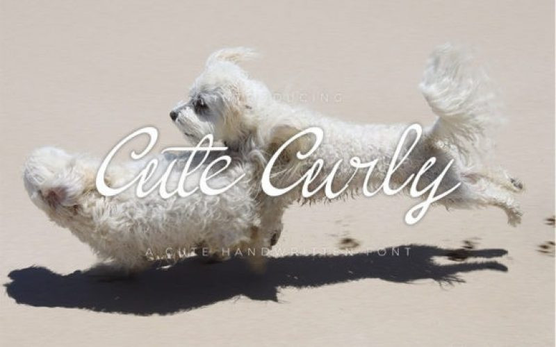 Cute Curly Script Font