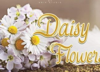 Daisy Flowers Script Font