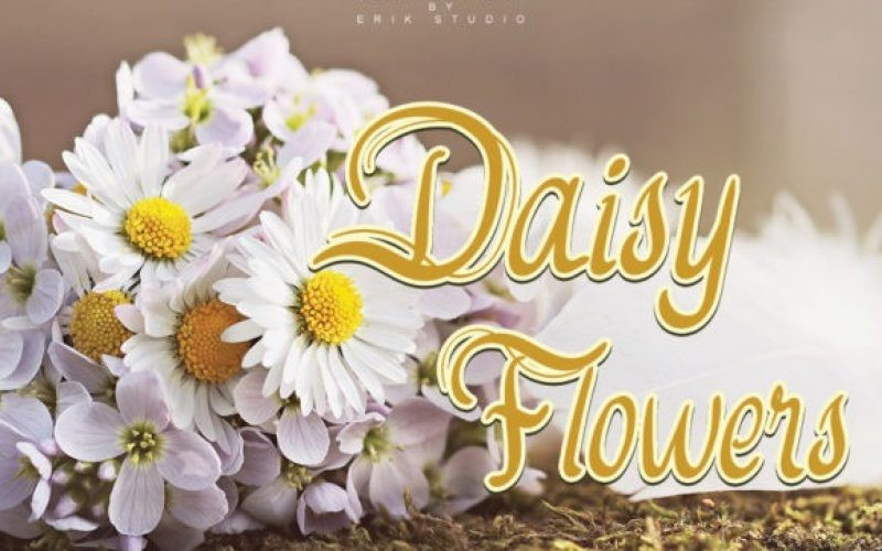 Daisy Flowers Script Font