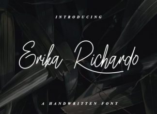 Erika Richardo Handwritten Font