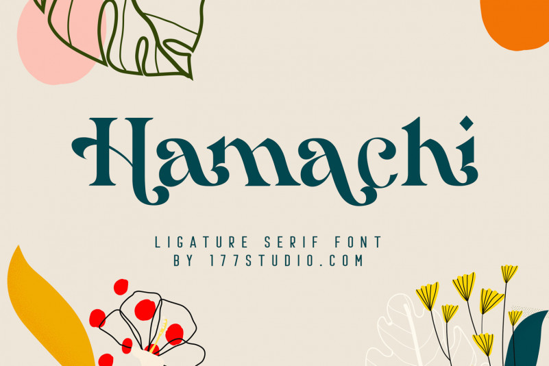 Hamachi Serif Font