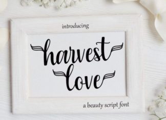 Harvest Love Script Font