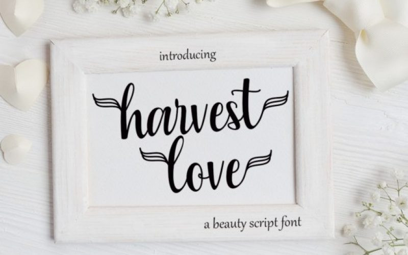 Harvest Love Script Font