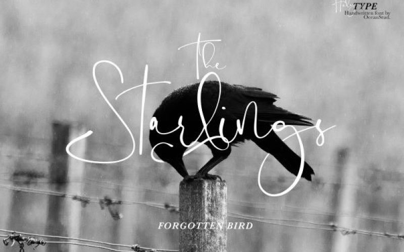 Holy Type Handwritten Font