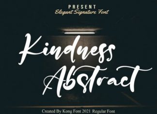 Kindness Abstract Script Font